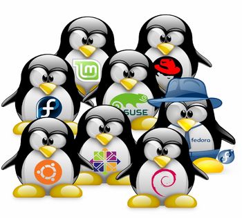 Linux in open source